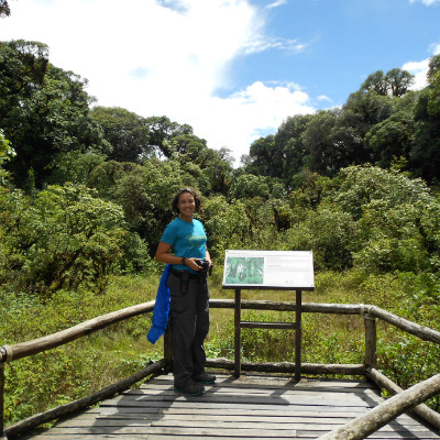 Hiking in rice fields