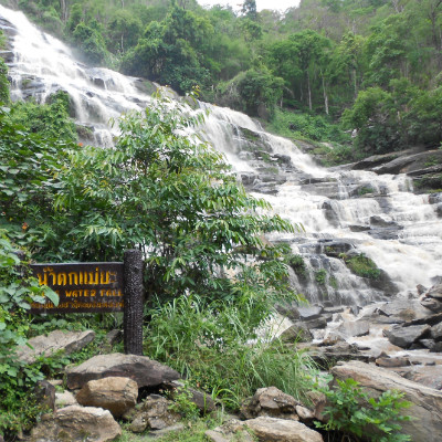 Trekking in the jungle