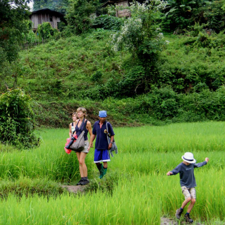 Hiking in rice fields