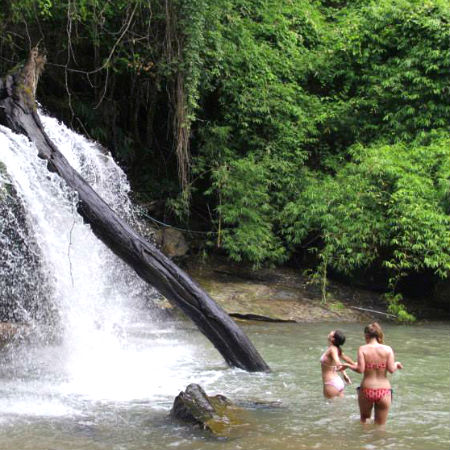 Waterfall in the jungle