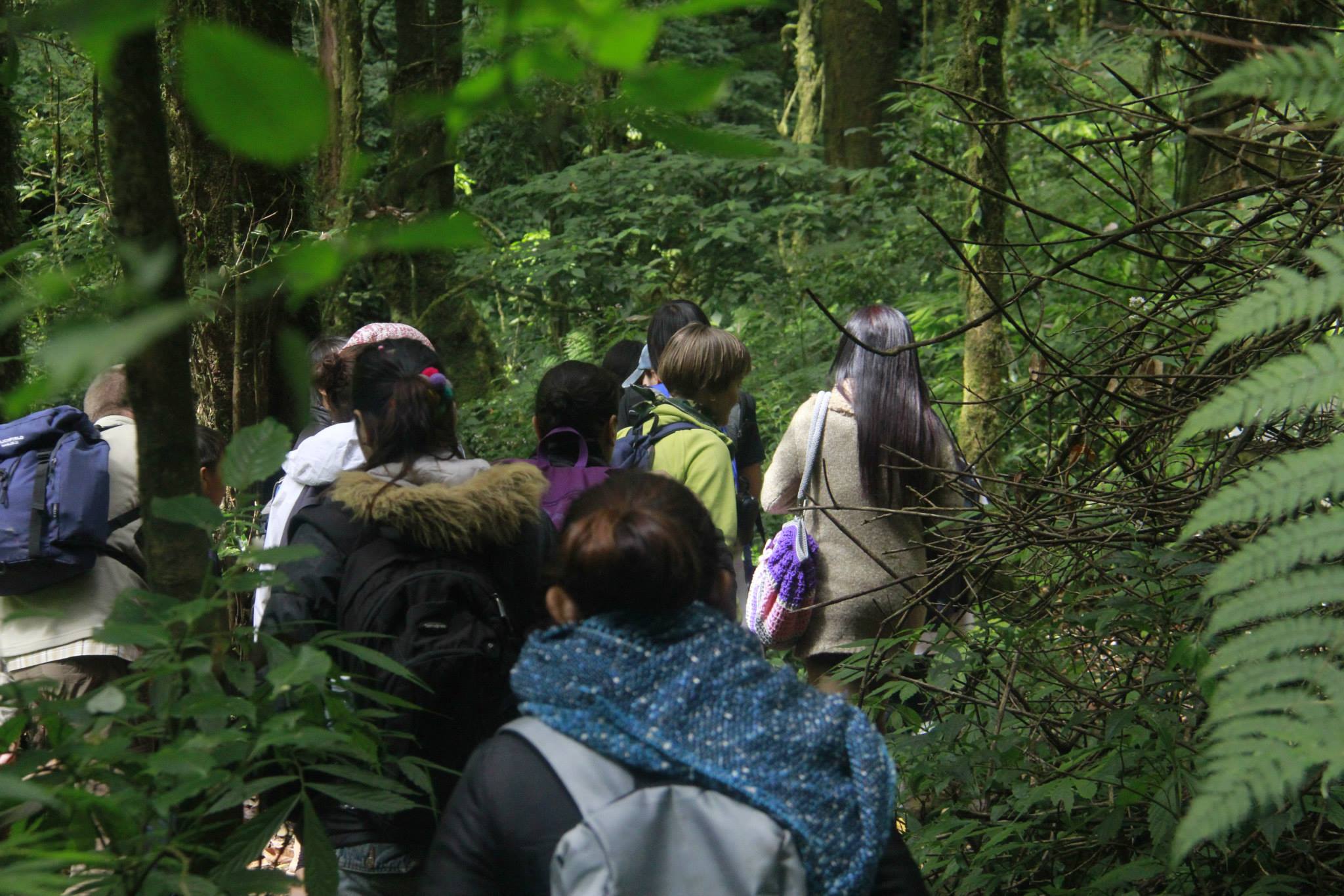 Trekking in Doi Inthanon