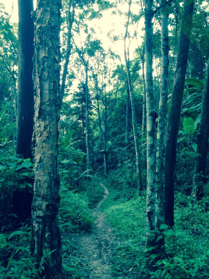 Trekking path in Chae Son