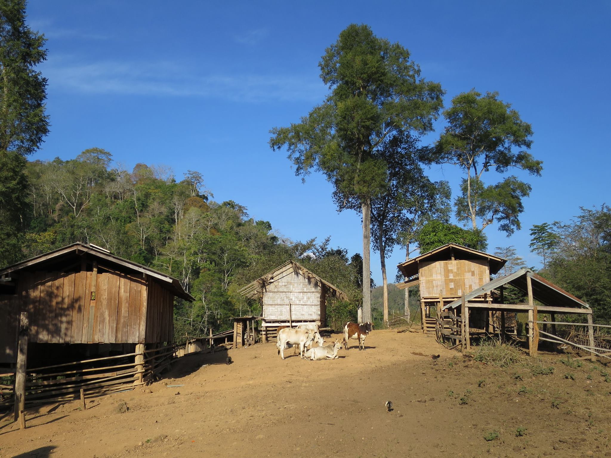 Karen tribe village