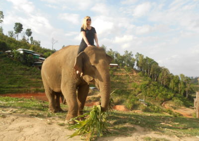 Elephant riding