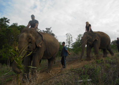 Riding elephants