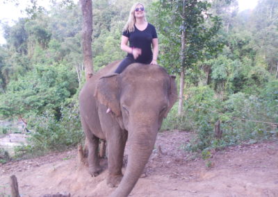 Elephant riding in jungle