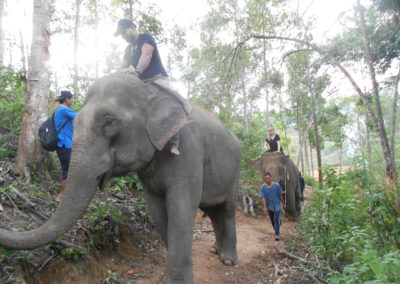 Riding elephants through jungle