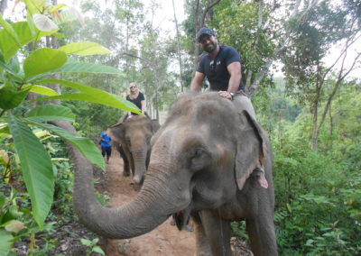 Riding elephants in the jungle