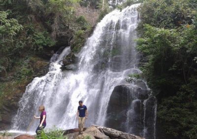 Pa Dok Saew, Doi Inthanon