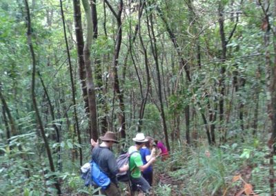 Trekking in Doi Inthanon