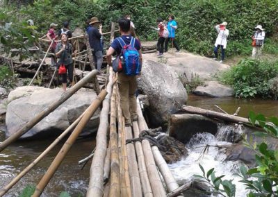 Crossing bamboo bridge