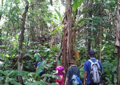 Doi Inthanon trek