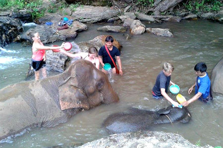 Bathing the elephants