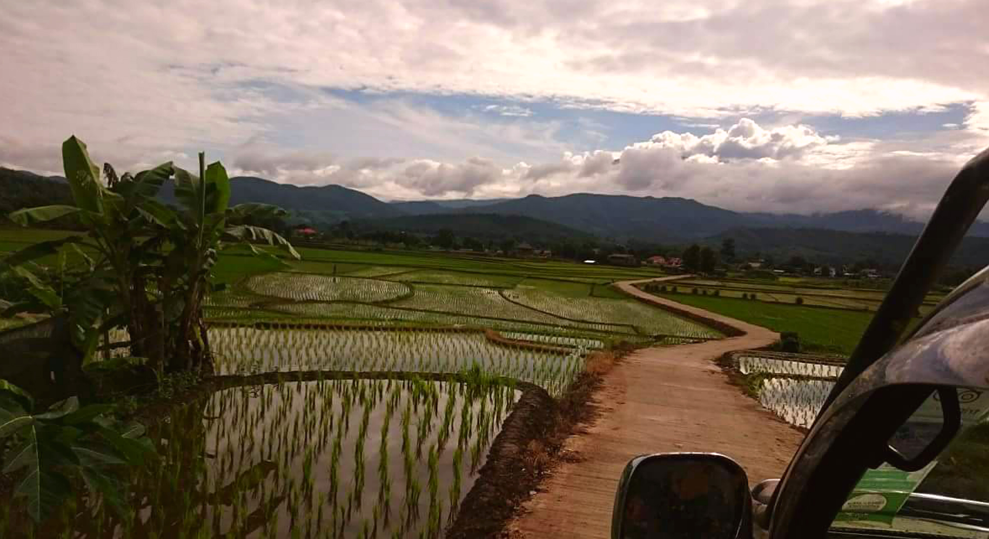 Pa Bong Piang rice paddies