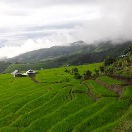 Pabongpiang village