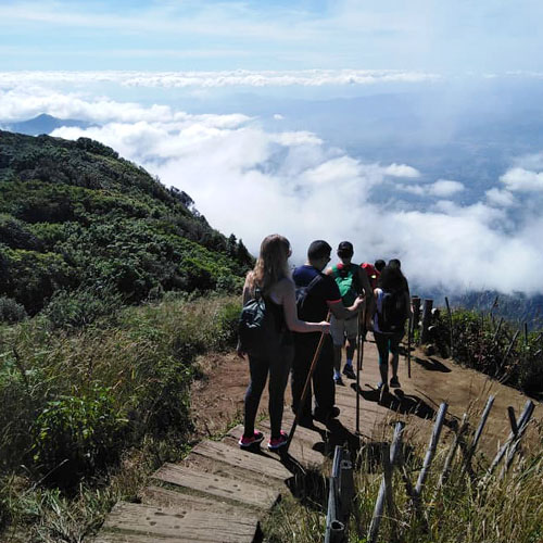 Scenic trail Doi Inthanon