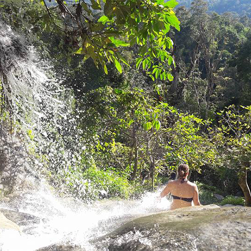 Bua Thong Sticky Waterfall