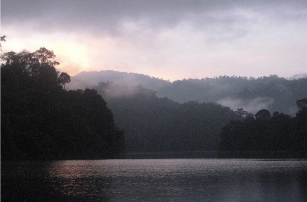 Natural Hot Springs in Chiang Dao