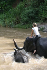 Elephant Riding, Mae Wang, Thailand